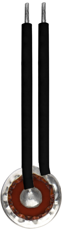 Schutz-Temperatur-Begrenzer C01-HT