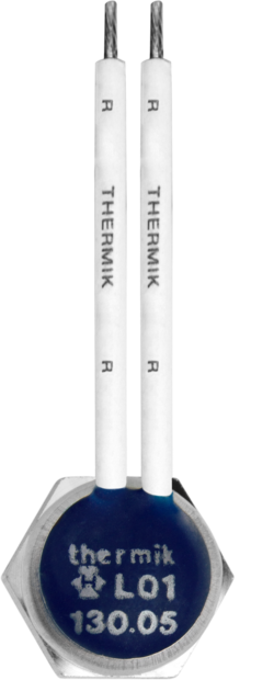 Schutz-Temperatur-Begrenzer L01