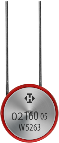 Schutz-Temperatur-Begrenzer N02