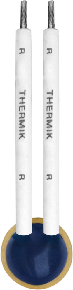 Schutz-Temperatur-Begrenzer C06