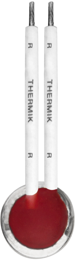 Schutz-Temperatur-Begrenzer C09